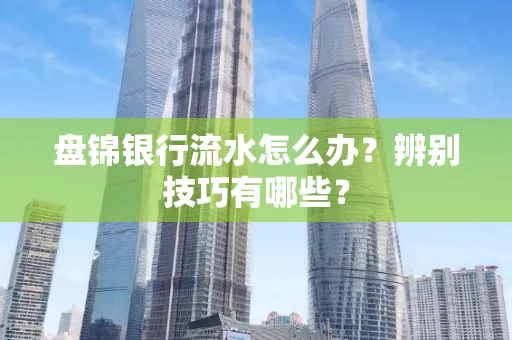 盘锦银行流水怎么办？辨别技巧有哪些？
